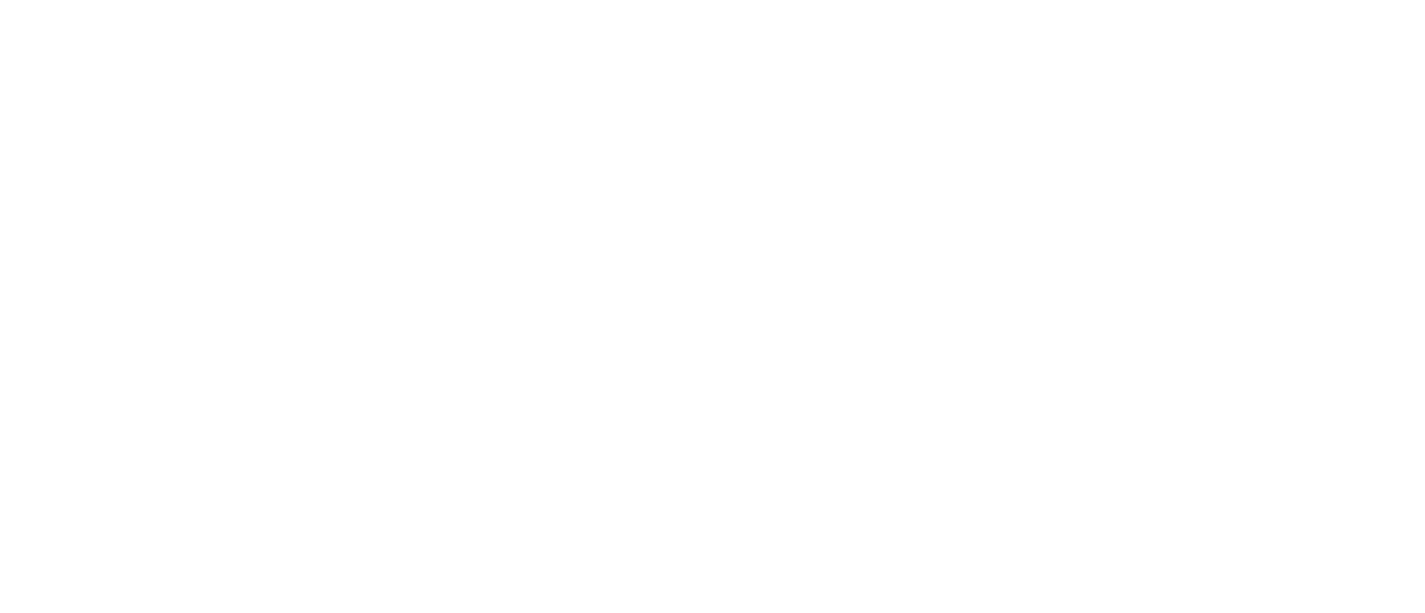 ALCIRA IMMIGRATION CONSULTING INC_footer